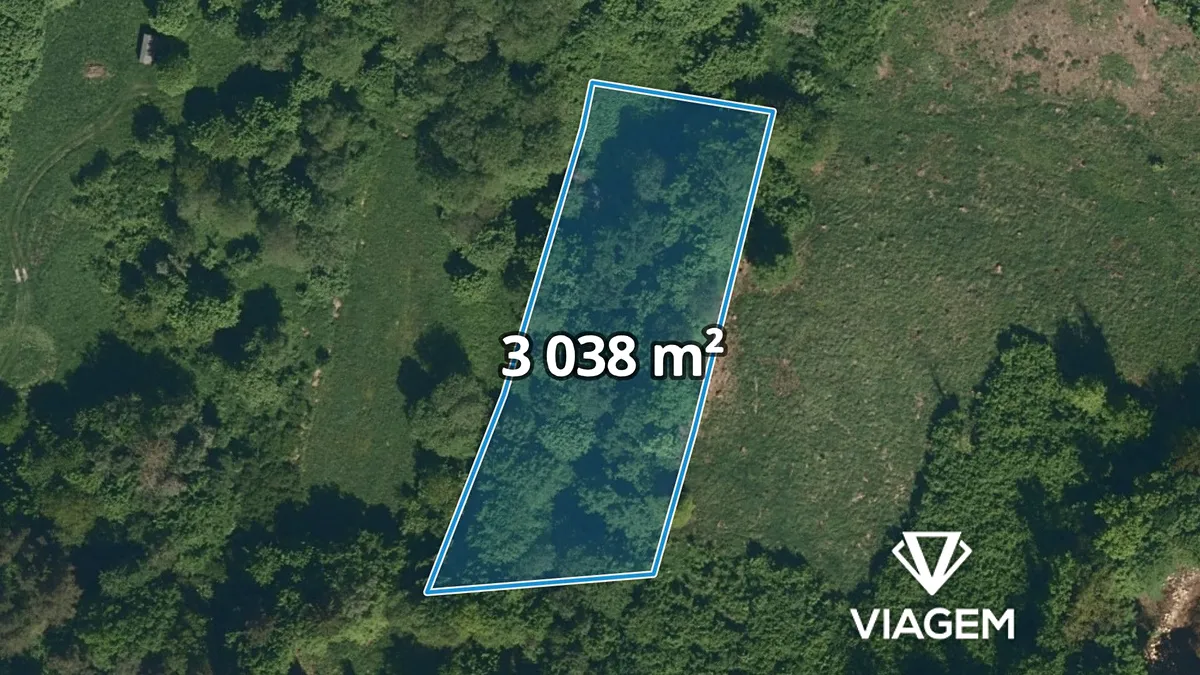 Prodej podílu 3/10 lesa 911 m²