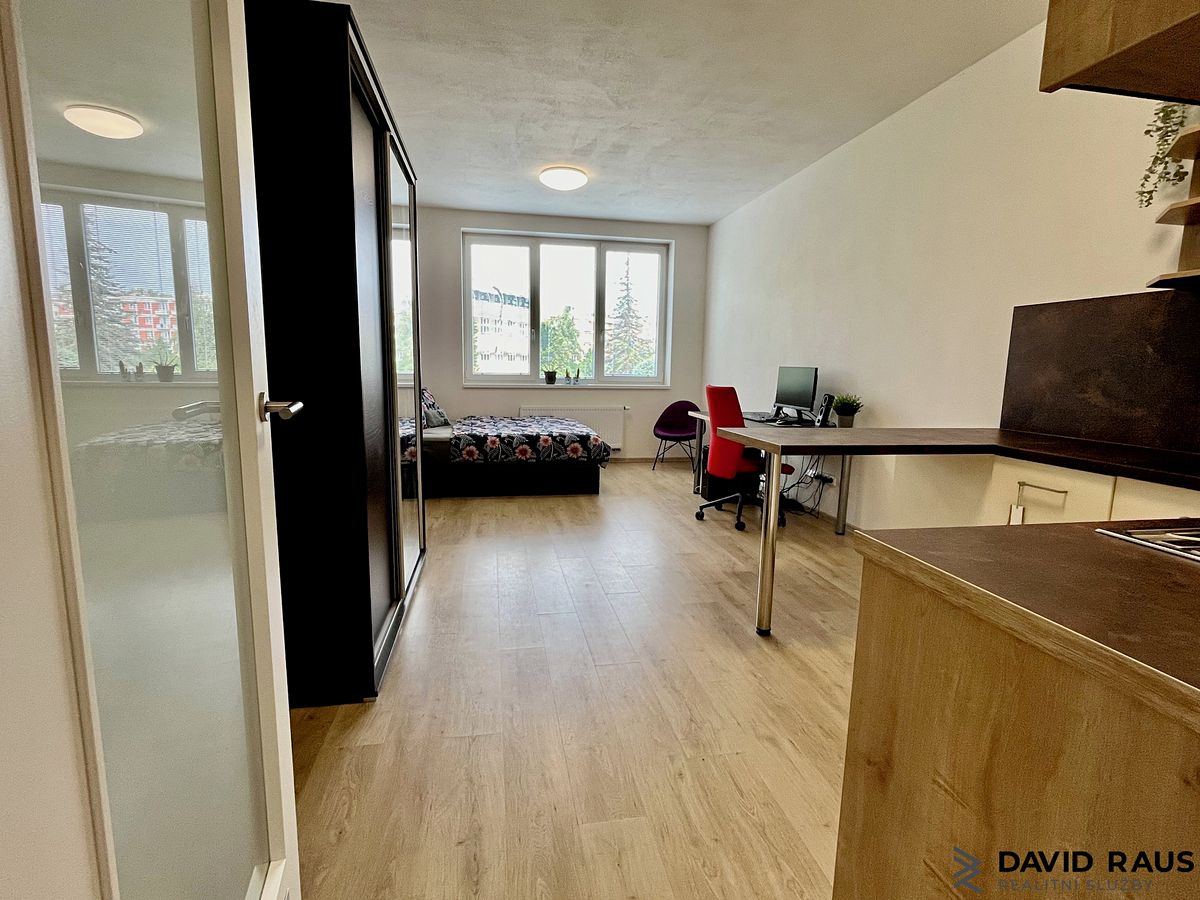 Pronájem bytu 1+kk 34 m² – fotografie 4