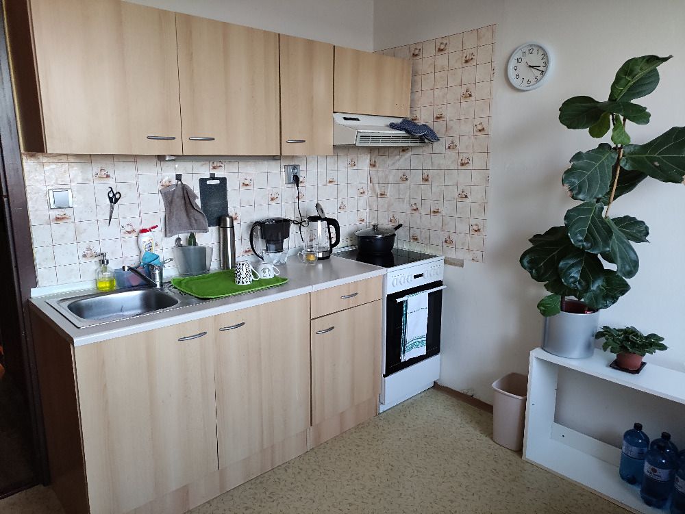 Pronájem bytu 1+1 40 m², Brno – fotka 1 z 3